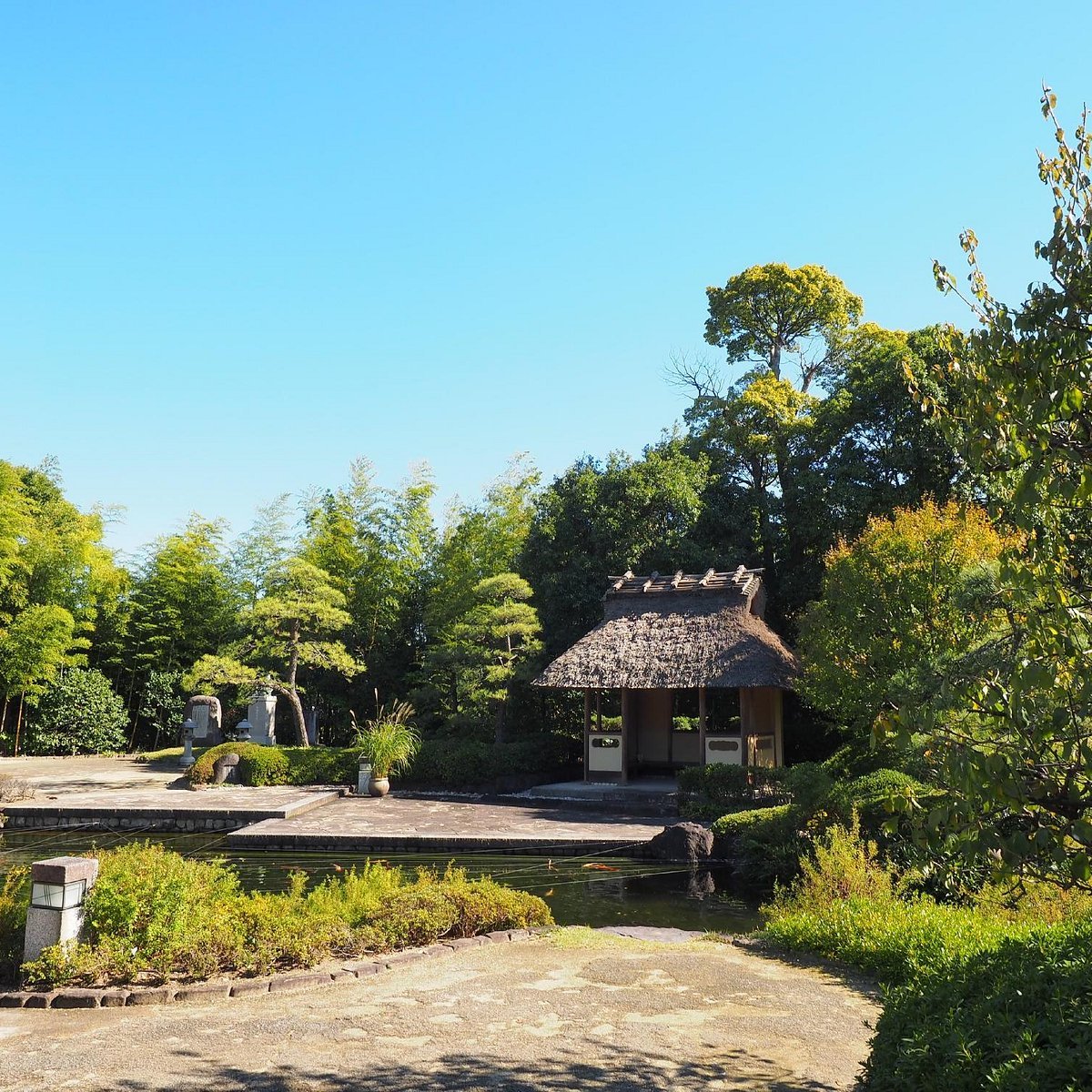🌳 정산원 (조잔엔)
